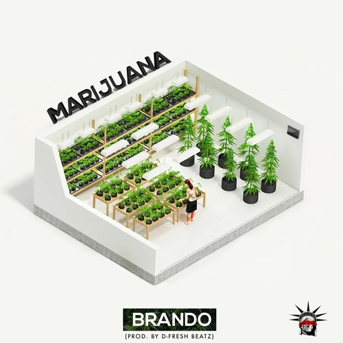 Brando - marijuana